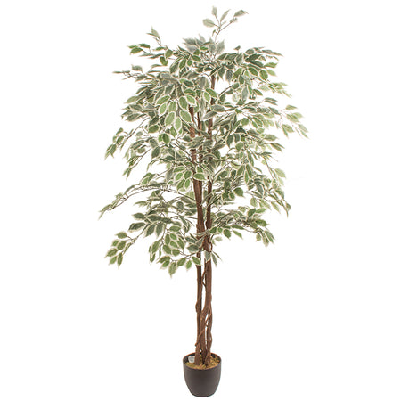 Искусственное растение FICUS 1.80 м